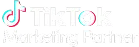 tiktok-marketing-partner.webp